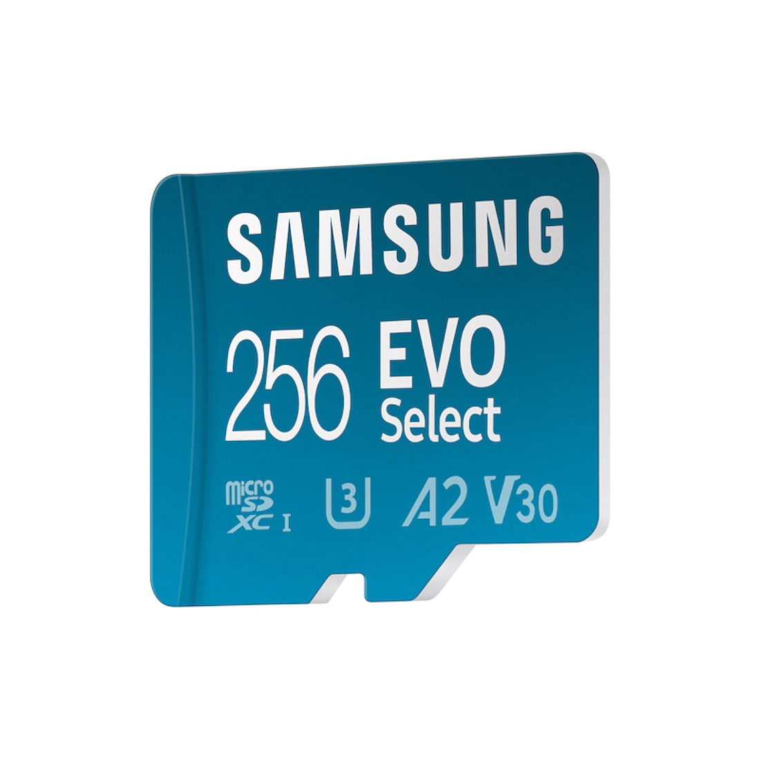 Фото — Карта памяти Samsung EVO Plus Select microSDXC (с адаптером), 256 Гб