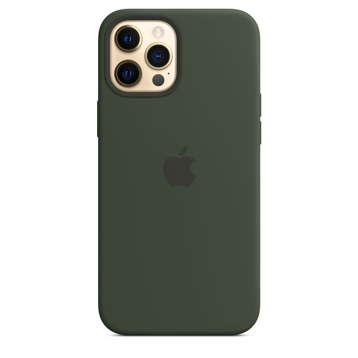 Фото — Чехол Apple MagSafe для iPhone 12 Pro Max, силикон, «кипрский зелёный»