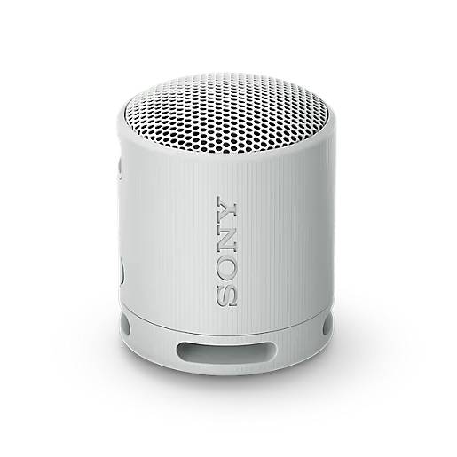 Фото — Портативная акустическая система Sony SRS-XB100, белый