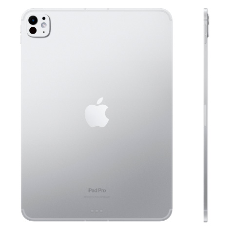Apple iPad Pro 11", M4 Wi-Fi, 2 ТБ, серебристый