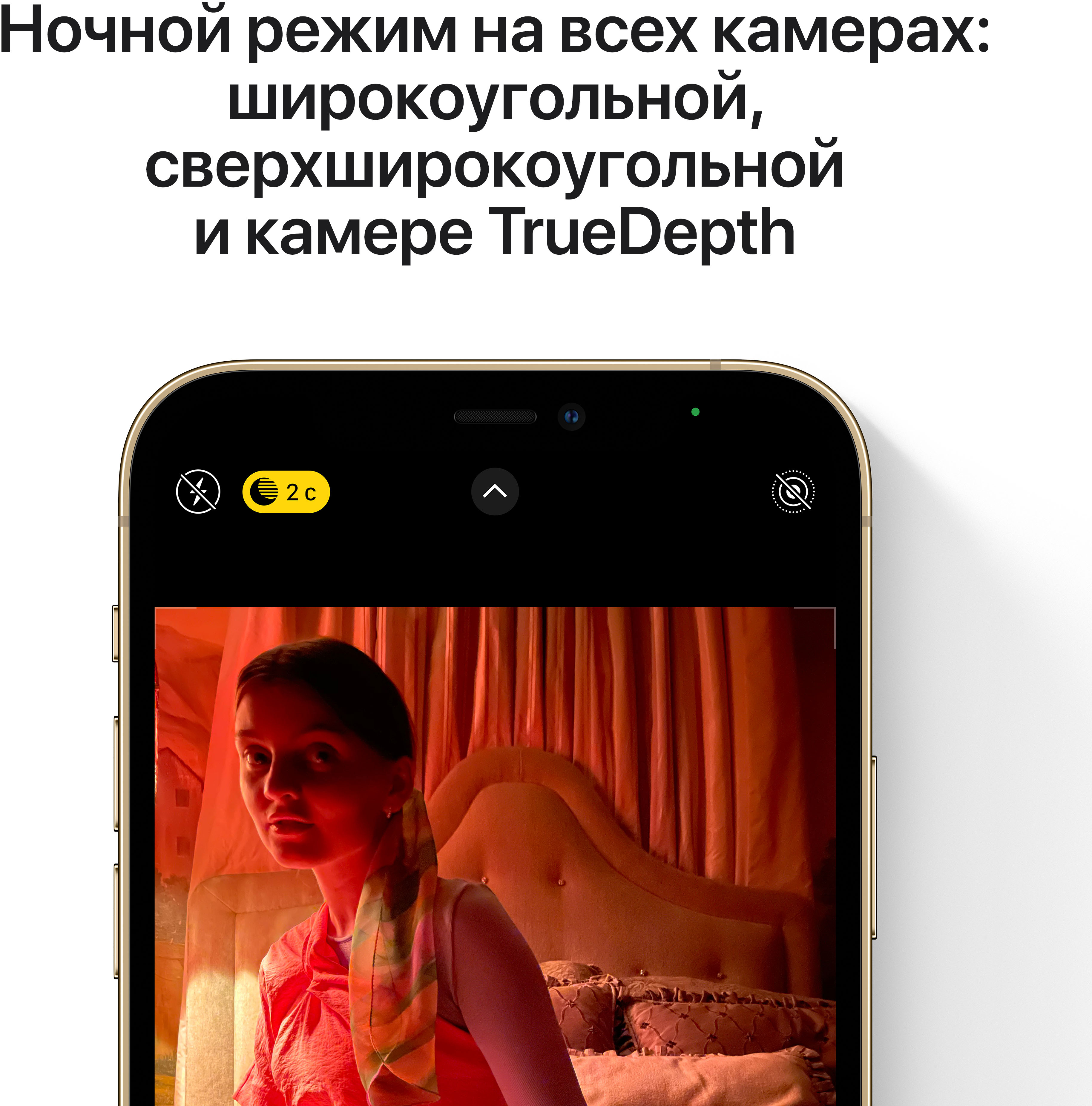 Фото — Apple iPhone 12 Pro Max, 512 ГБ, золотой