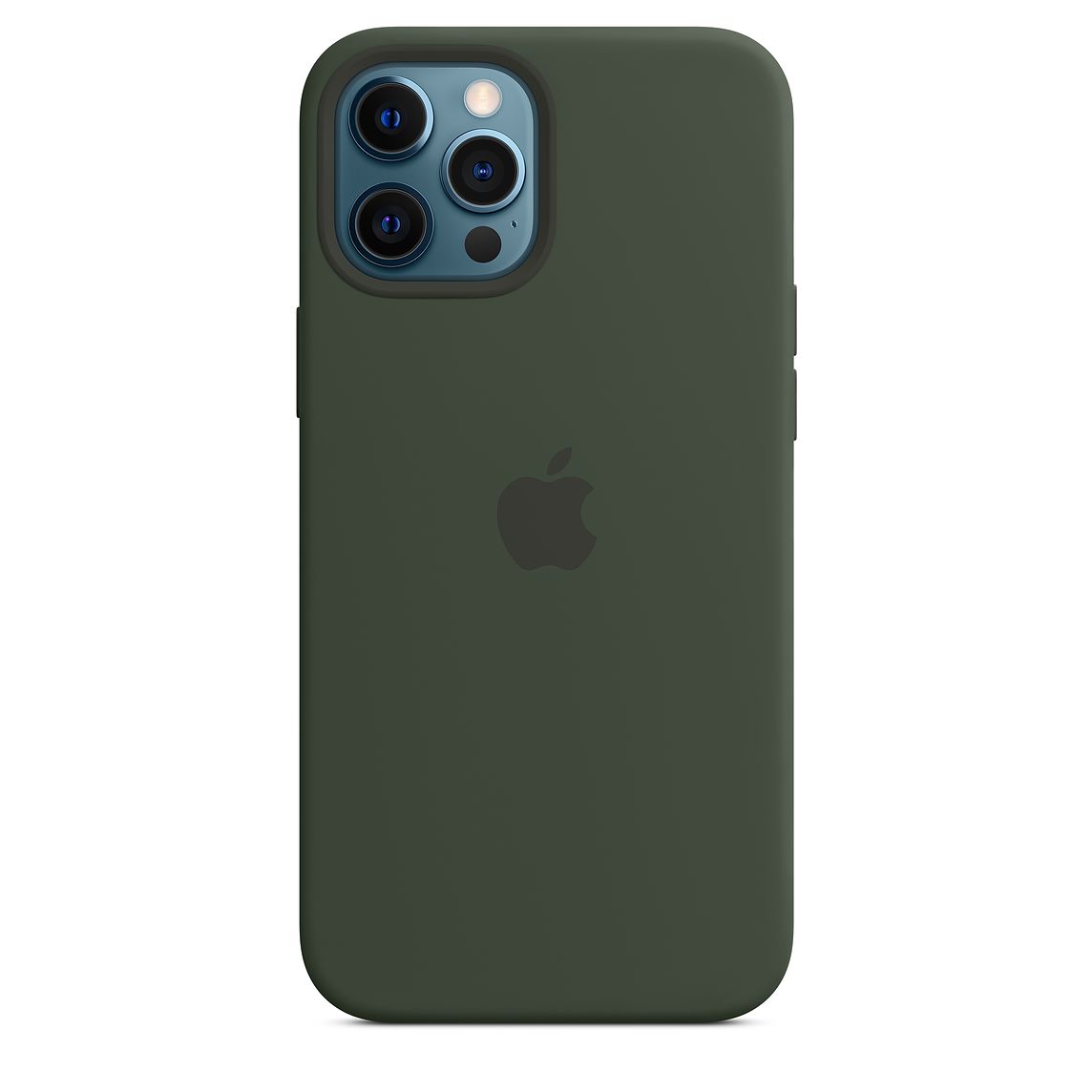 Фото — Чехол Apple MagSafe для iPhone 12 Pro Max, силикон, «кипрский зелёный»