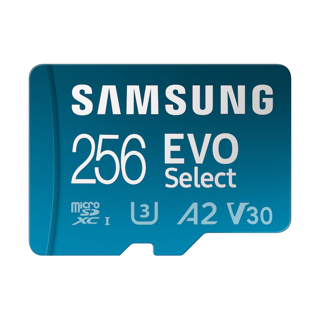 Фото — Карта памяти Samsung EVO Plus Select microSDXC (с адаптером), 256 Гб