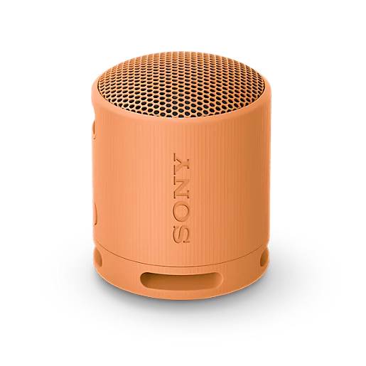 Фото — Портативная акустическая система Sony SRS-XB100, оранжевый