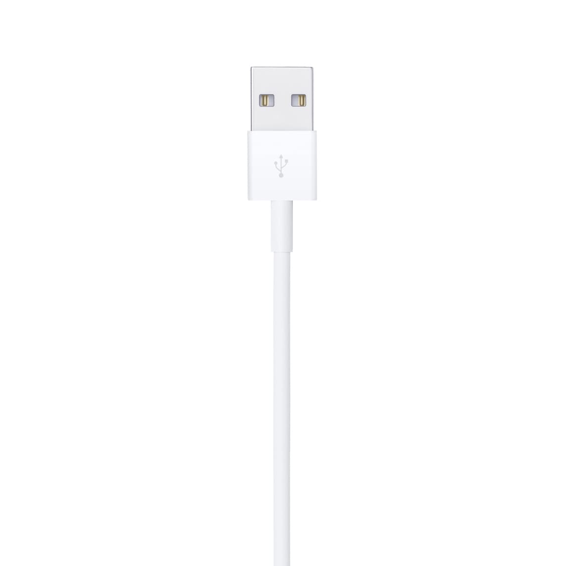 Фото — Apple USB - Lightning (0.5м)
