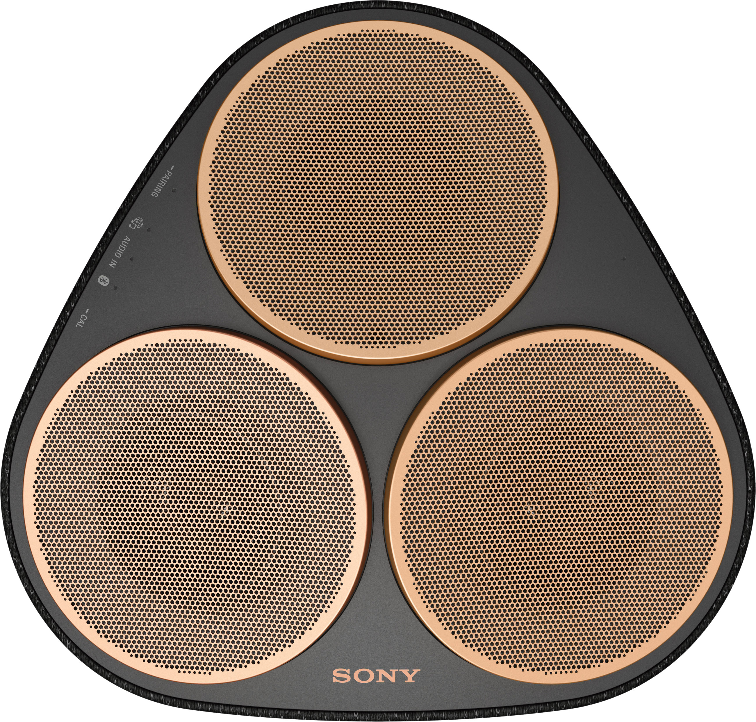 Фото — Портативная акустическая система Sony SRS-RA5000, черный