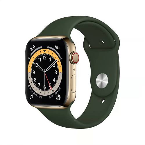 Apple Watch Series 6 GPS + Cellular, 44 мм, сталь золотого цвета, спортивный ремешок зеленый
