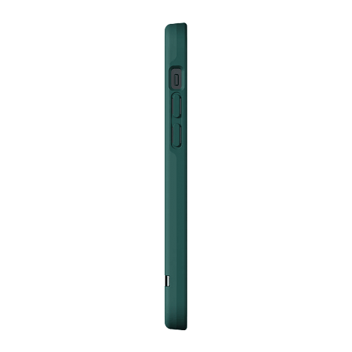 Чехол для смартфона Richmond & Finch для iPhone 12/12 Pro (6.1) SS21, зеленый