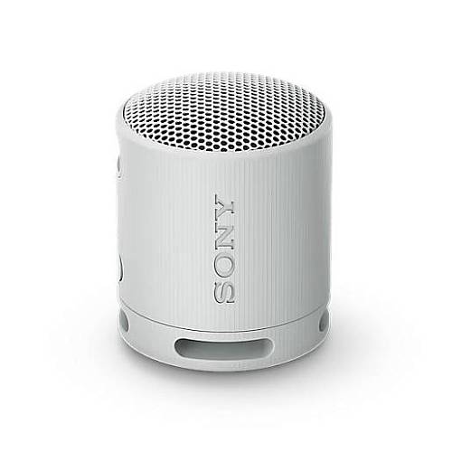Портативная акустическая система Sony SRS-XB100, белый