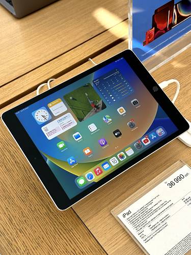 Apple iPad 10,2" (2021) Wi-Fi 64 ГБ, серебристый (уценка)