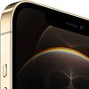 Фото — Смартфон Apple iPhone 12 Pro Max, 256 ГБ, золотой