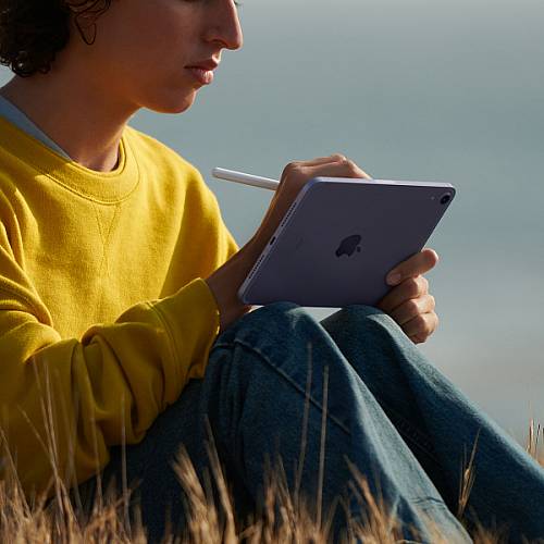 Apple iPad mini (2021) Wi-Fi 256 ГБ, «сияющая звезда»