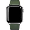 Фото — Ремешок для смарт-часов «vlp» Silicone Band для Apple Watch 38/40/41 мм, темно зеленый