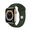 Фото — Apple Watch Series 6 GPS + Cellular, 44 мм, сталь золотого цвета, спортивный ремешок зеленый