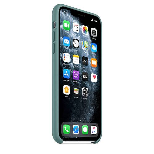 Чехол для смартфона Apple для iPhone 11 Pro Max, силикон, «дикий кактус»