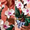 Фото — Конструктор LEGO Botanical 10311 - Orchid