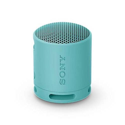 Портативная акустическая система Sony SRS-XB100, синий